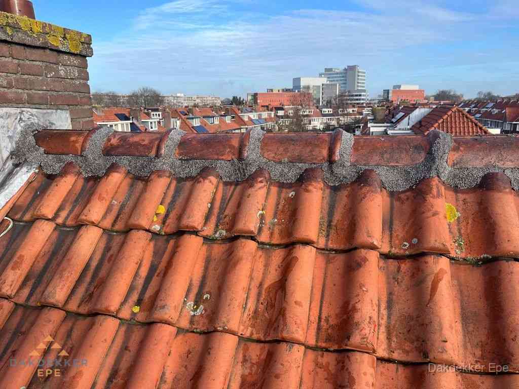 Nieuw bitumen plat dak met uitzicht over woonwijk in Epe Nieuw bitumen plat dak met uitzicht over woonwijk in Epe