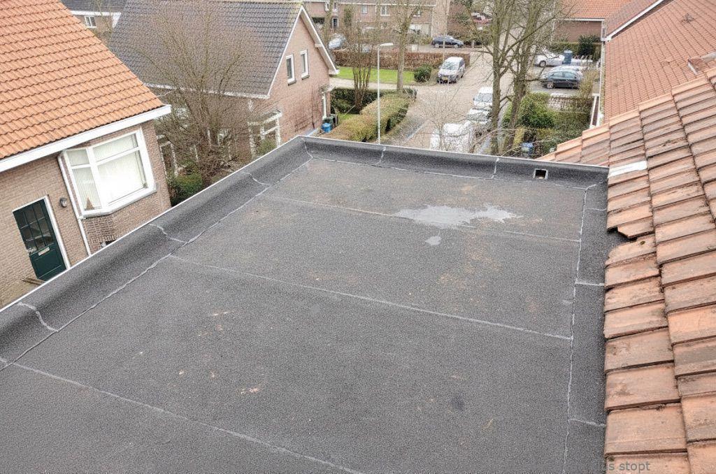 Dakdekker In Najaar Epe