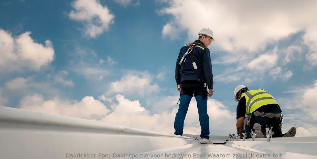 Dakinspectie Voor Bedrijven Epe