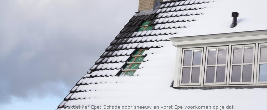 Schade Door Sneeuw En Vorst Epe