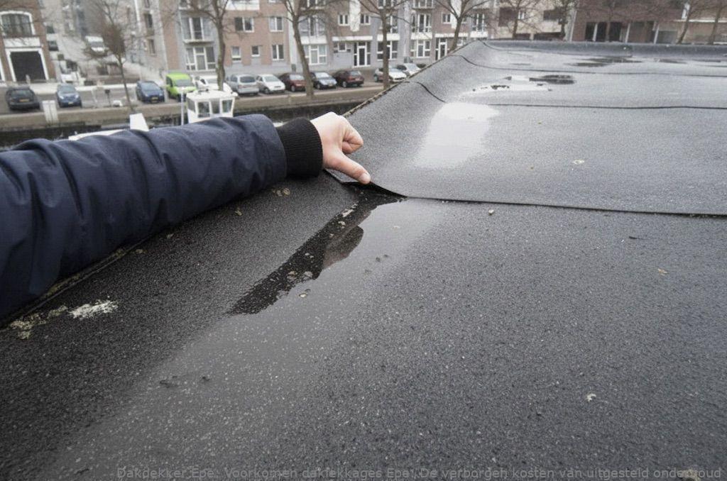 Voorkomen Daklekkages Epe